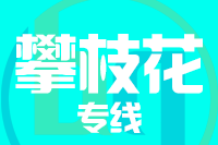 厦门到攀枝花物流专线-厦门至攀枝花货运公司